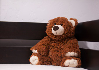 Teddy bear. Childish soft toy. Brown bear
