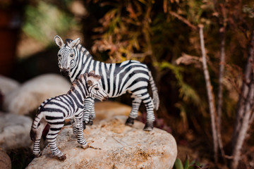 Zebra toy figure