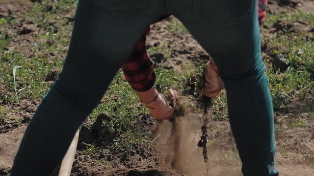 Farmer working in garden, cleaning the vegetable patch. Woman is shaking plant to remove soli from weeds roots. Preparing the soil for ecology planting, responsible agriculture concept.