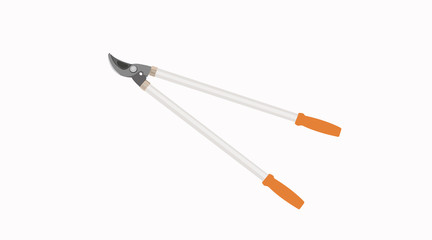 Vector Isolated Illustration of Shears