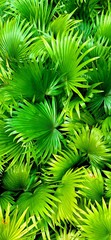 abstract green background