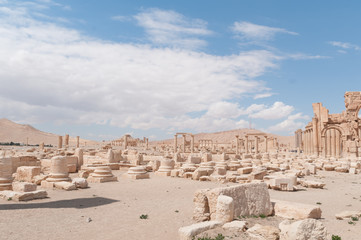 palmira resti rimani
