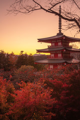 山梨県 新倉山浅間公園 富士山 紅葉 夕景