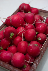 Red radishes, fresh pink radishes in the basket, fresh spring vegetables, vegetables on the table