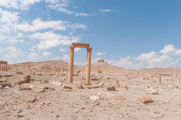 palmira resti rimani