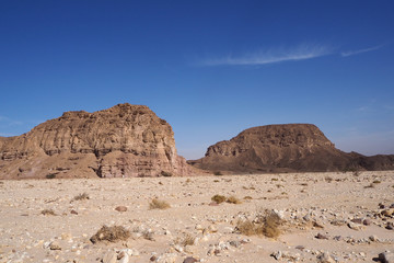 The desert landscape with far dark mountains, rocky sand field, the blue sky with one white cloud.