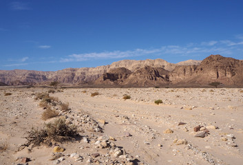 The desert landscape with far dark mountains, rocky sand field, the plants, the blue sky with one white cloud.