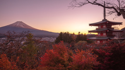 山梨県 新倉山浅間公園 富士山 紅葉 夕景