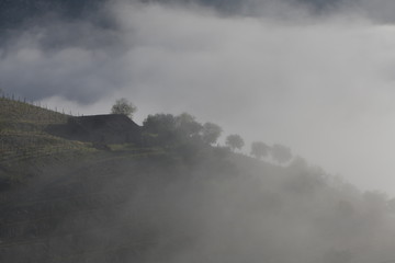 fog over the mountains