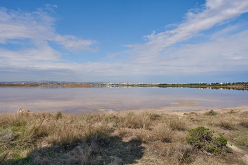 Beautiful panoramic view from the shore of the salty lake Larnaca with blue sky and small clouds, reflections in the water, Larnaca, island Cyprus, deserted landscape