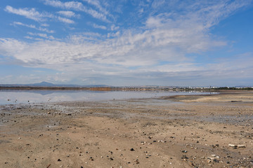 Beautiful panoramic view from the shore of the salty lake Larnaca with blue sky and small clouds, reflections in the water, Larnaca, island Cyprus, deserted landscape