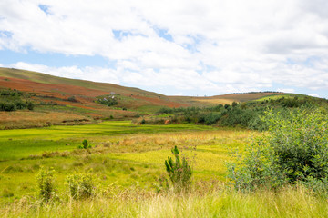 Landscape shots of green fields and landscapes on the island of Madagascar