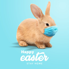 Creative minimal Happy Easter design  the rabbit inside of home line with mask for coronavirus (Covid-19) colorful eggs around the composition shows message Happy easter and stay home.