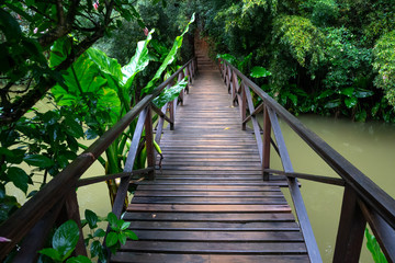A small wooden bridge over a small river in a rainforest in Madagascar