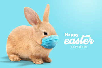 Creative minimal Happy Easter design  the rabbit inside of home line with mask for coronavirus (Covid-19) colorful eggs around the composition shows message Happy easter and stay home.