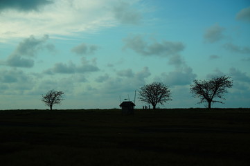 silhouette of a man walking on a meadow