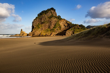 Fototapeta na wymiar Sand dunes on Piha Beach, New Zealand