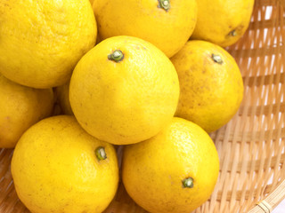 小夏　オーガニック　無農薬