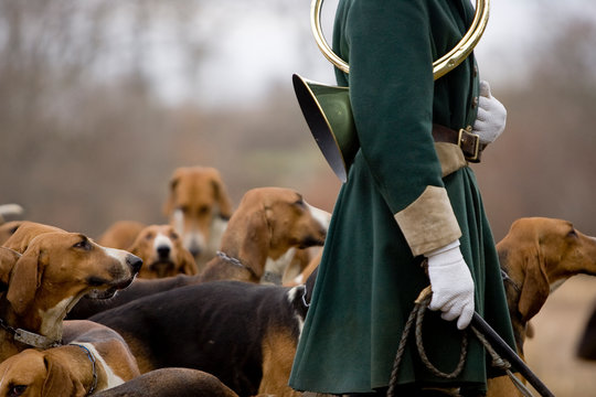 Journ&eacute;e traditionnelle de chasse a courre