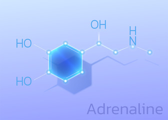 Hormone Adrenaline, molecular formula. Vector illustration.