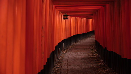 Fototapeta premium 京都府 伏見稲荷大社 千本鳥居 雨