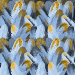 bird feather bedroom background abstract