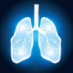 human lungs organ in campaign background vector illustration design