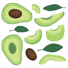 Avocado vector set flat illustration hand drawn