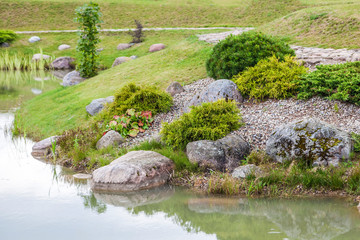 Pond decoration. Dwarf conifers and stones