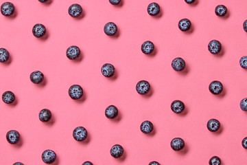 Blueberry isolated colorful pattern on pink background. Fresh blueberry closeup, organic bilberry wallpaper, top view. Juicy blueberries, creative concept, fashionable trendy flat lay