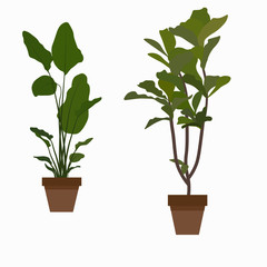 Vector stock illustration of a houseplant. Flower with leaves in a ceramic pot. Home flower in flat style. Leaves of evergreen flora. Watercolor greens. Isolated on a white background. Flowerpot