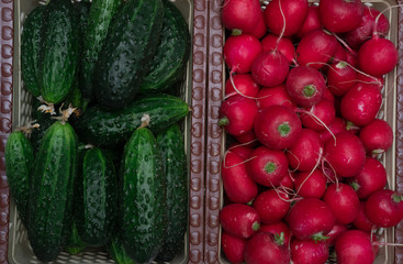 Lots of green cucumbers and red fresh radishes, spring vegetables, vegetables on the table, cucumbers and radishes