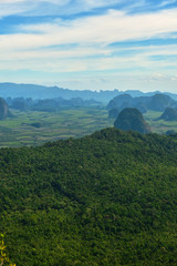 Obraz premium Fascinating jungle landscape at the dragon crest mountain / Khao ngon nak national park near Krabi, Thailand