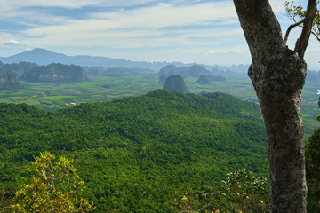 Fascinating jungle landscape at the dragon crest mountain / Khao ngon nak national park near Krabi,...