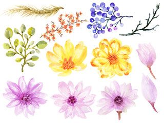 Watercolor illustration Botanical leaves collection Set of wild floral abstract leaves elements hand