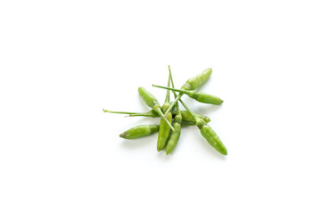 Chilli on a white background