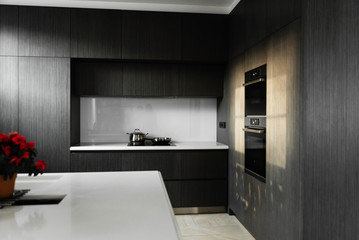 in the kitchen there is a stove and oven,food is cooked on the stove,stylish large kitchen in loft style