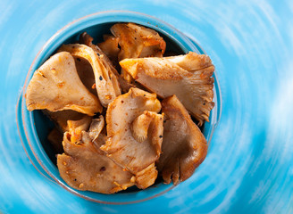 Oyster mushrooms in an oven dish with blue background seen from above