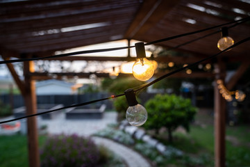 String lights under a pergola in a backyard at sunset. - obrazy, fototapety, plakaty