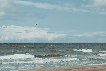 Bay on the Curonian Spit. Russia.
