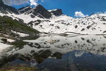 Vallon du Lauzanier , Lac de Derrière la Croix, Parc National du Mercantour , Alpes , France