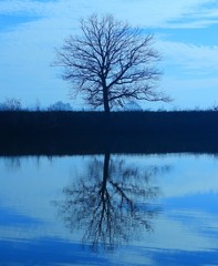 Staw © Krzysztof