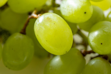 Green grapes berry macro in the plate