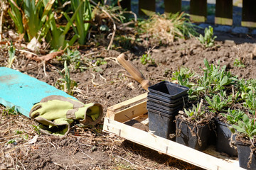 Springtime gardening with gardening gloves, a knee cushion and some small plants and plant pots and a metal shovel on the soil. Seen in Germany in April.