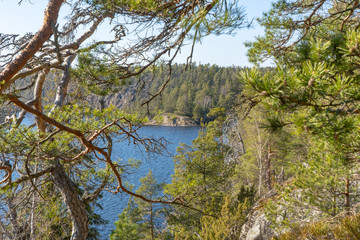 The lake in the Swedish forest. Photo of Scandinavian nature. Woods in north Europe.