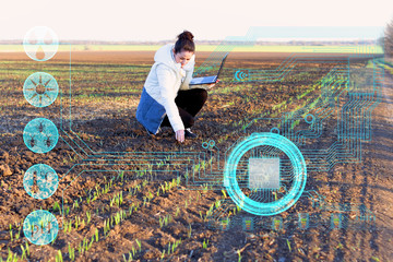 a farmer using a laptop and modern technology analyzes the data on humidity, temperature, light acidity, fertilizers and pests to increase yield