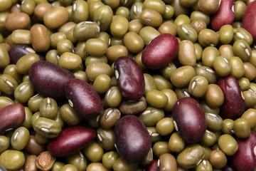 Two types of Babs: mash and red beans. Vegetarian food. Source of protein and carbon dioxide. Diet....