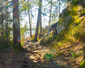 The trail in the spring. Photo of scandinavian nature. Swedish forest.