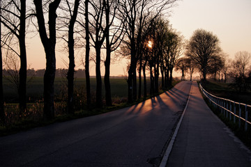 sunset over trees and road