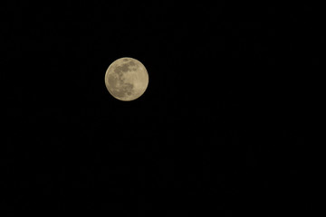 Fototapeta premium Supermoon (Super Full Moon or Super Moon) April 8, 2020. On this day the moon is the largest